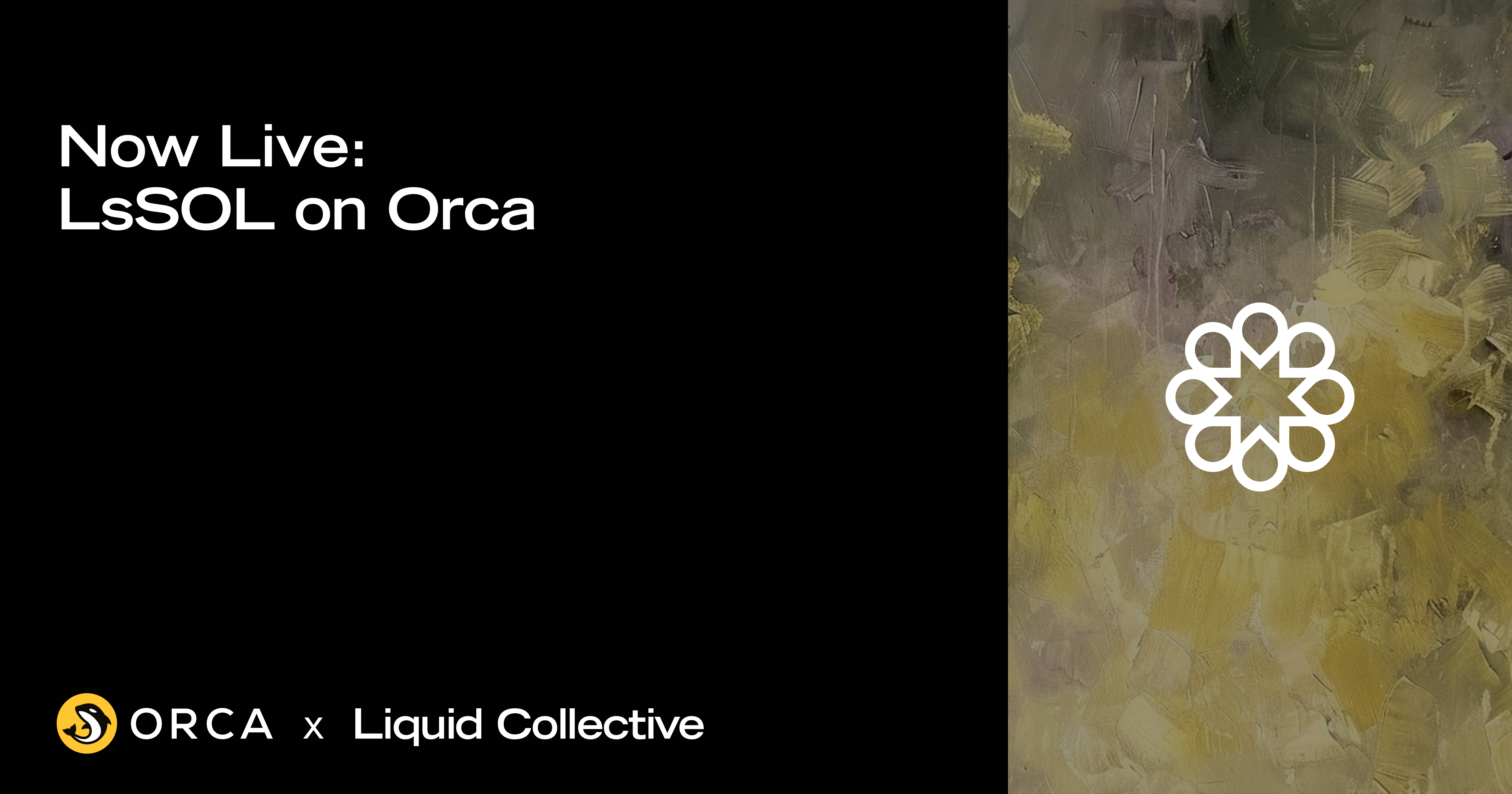 Now Live: LsSOL on Orca